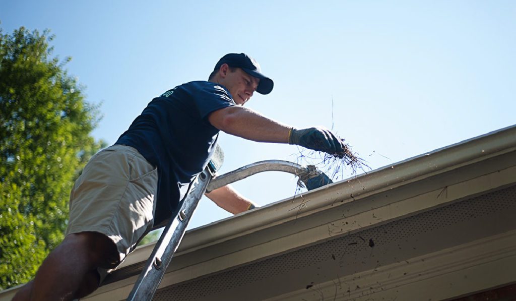 Gutter Cleaning Image