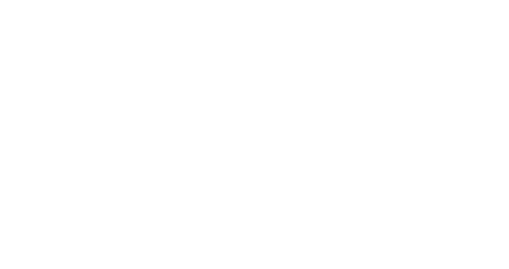 Roof Pros Logo All White